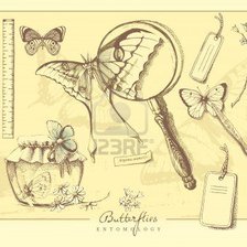 Схема вышивки «babochka»