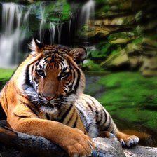 Схема вышивки «№435630»