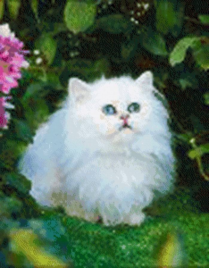 №435668 - животные - предпросмотр