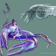 Схема вышивки «РАК Кагайя»