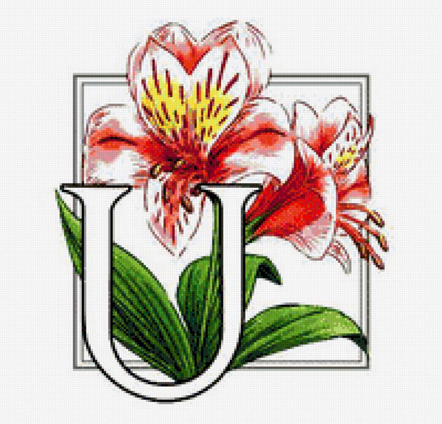 цветы - цветок, цветы - предпросмотр