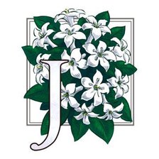 Схема вышивки «жасмин»