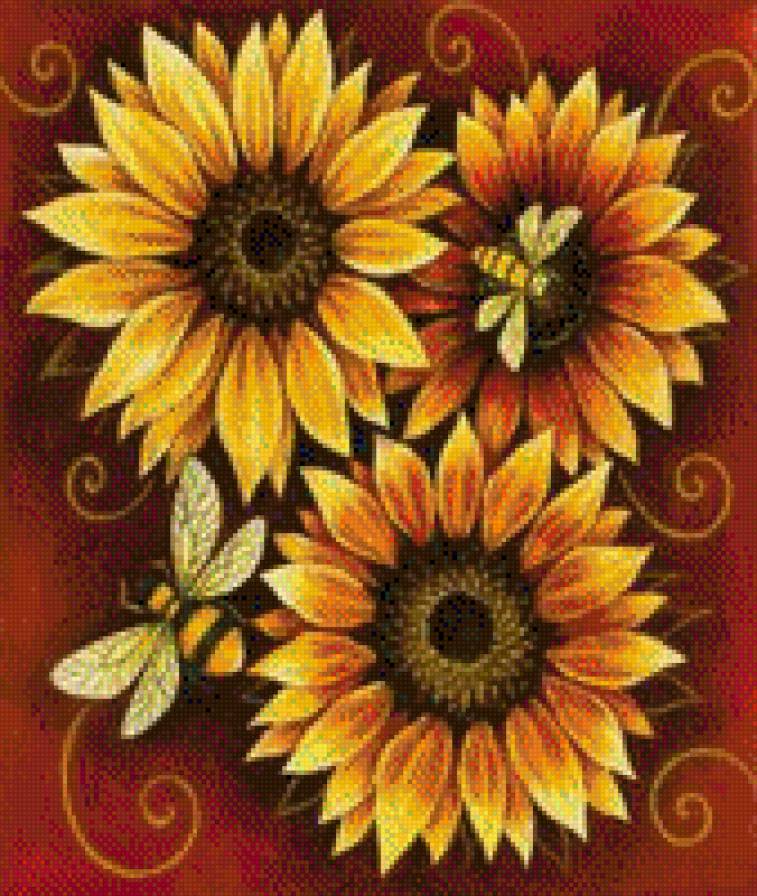 подсолнухи - букет, подсолнухи, цветы - предпросмотр