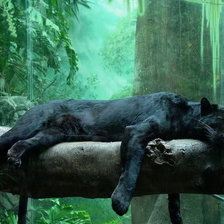 Схема вышивки «багира»