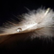 Схема вышивки «перо»