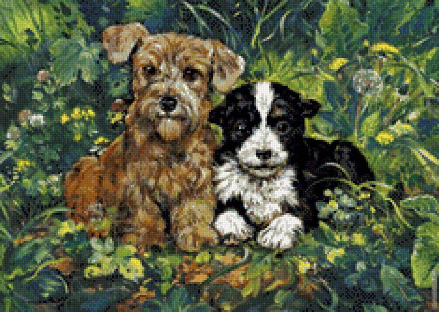 два друга - собаки, животные, друзья, щенки - предпросмотр