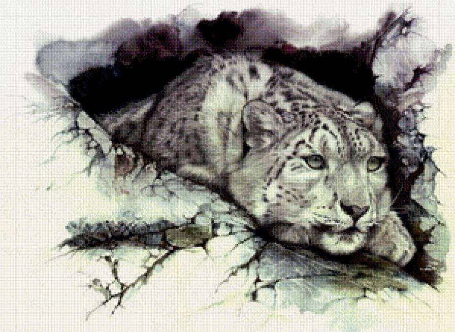 в засаде - барс, хищник, живопись, пещера, картина - предпросмотр