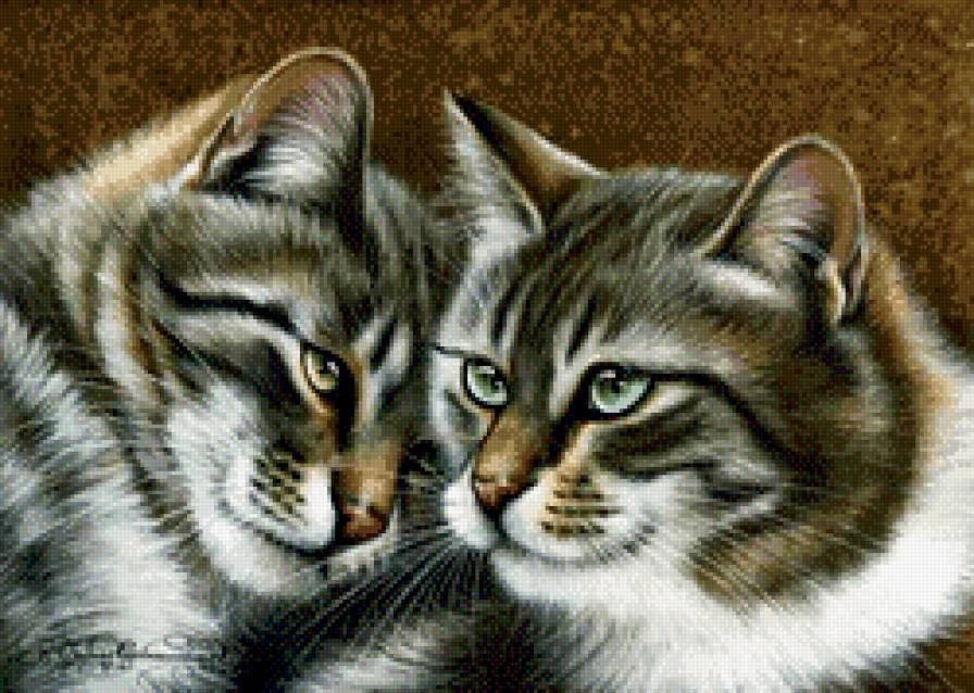 Друзья - кот, коты - предпросмотр