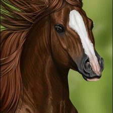 Схема вышивки «лошадка»