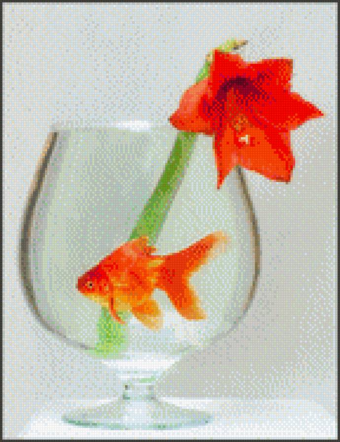 Рыбка с цветком - амарилис, рыба, золотая рыбка, рыбка, цветок - предпросмотр