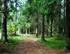 Схема вышивки «№436297»