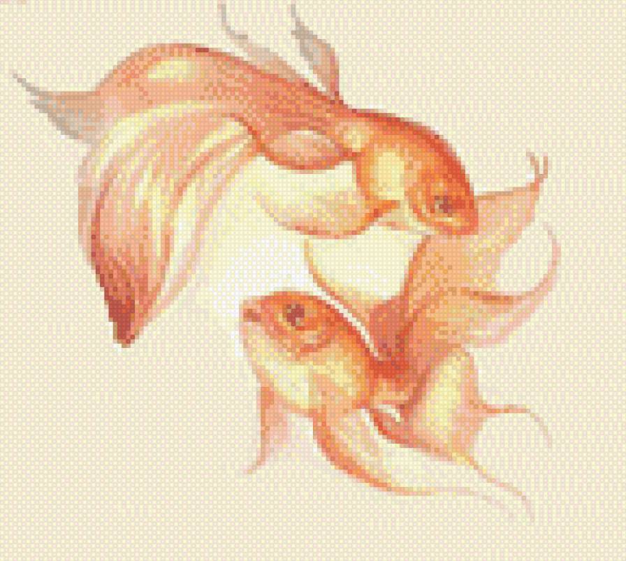 рыбки золотые - рыба, золотая рыбка, рыбка - предпросмотр