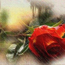 Схема вышивки «Roza v tumane»