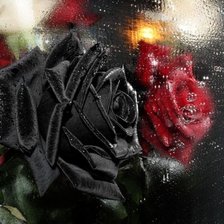 Схема вышивки «№436320»