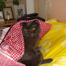 иностранец