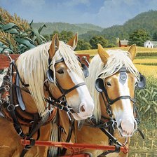 Схема вышивки «№436414»