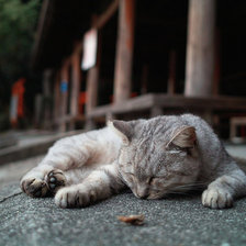 Схема вышивки «котейка»