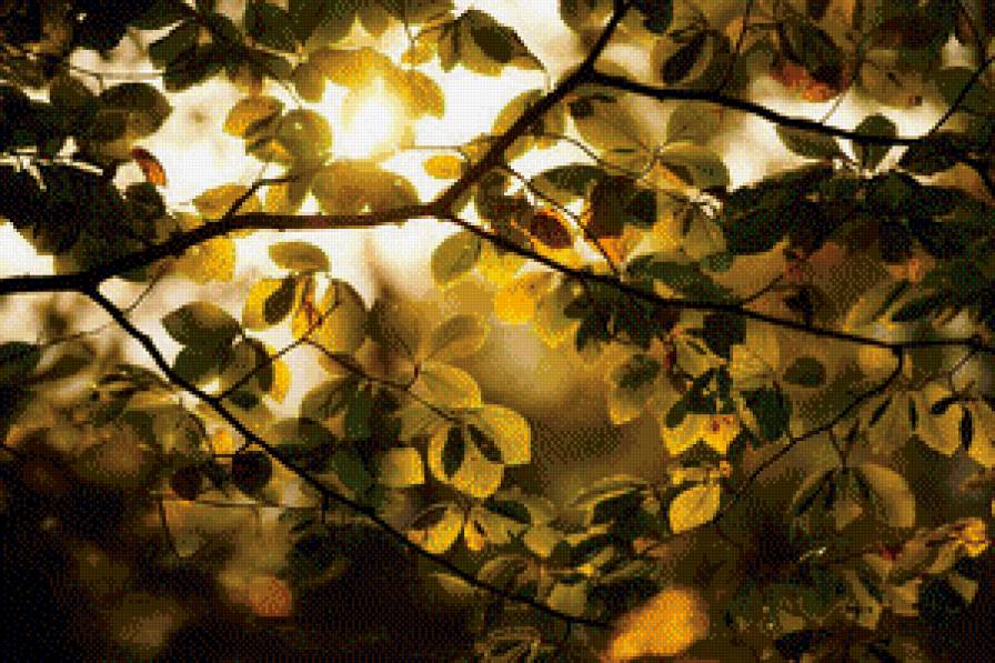 Летний день - природа, листва, лето - предпросмотр