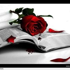 Схема вышивки «Книга»