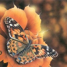 Схема вышивки «бабочка на розе»