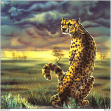 Схема вышивки «гордая кошка»