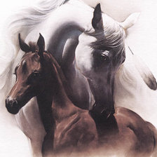 Схема вышивки «Серия "Кони"»