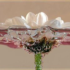 Схема вышивки «цветок»