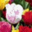 Предпросмотр схемы вышивки «Поле тюльпанов» (№437095)