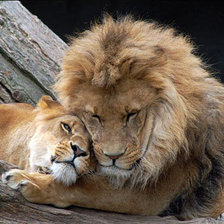 Схема вышивки «двое.»