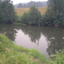 Схема вышивки «ИЛЕВНА»