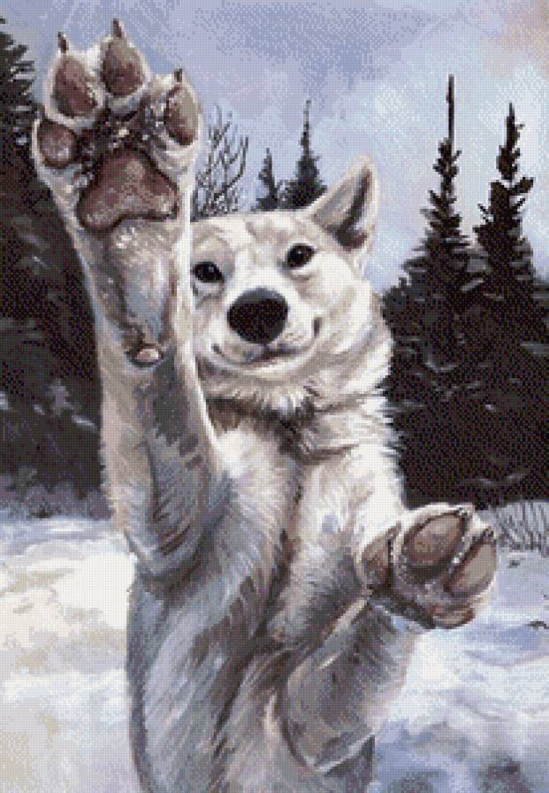 давай дружить - счастье, природа, собака, лес, взгляд - предпросмотр