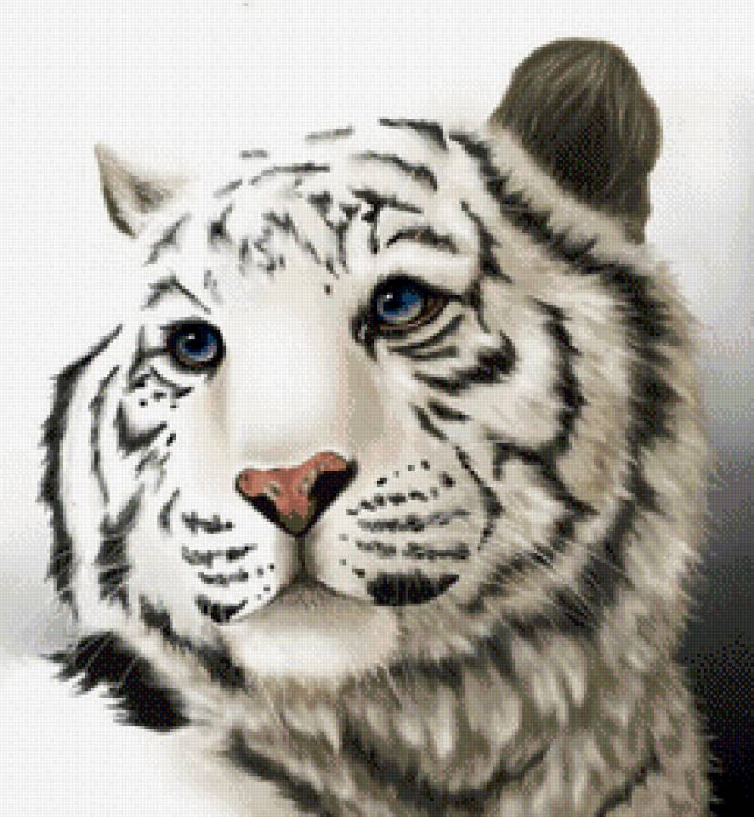 Тигруля - предпросмотр