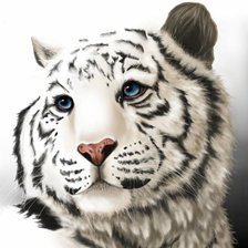 Схема вышивки «Тигруля»