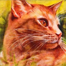 Схема вышивки «рыжик»