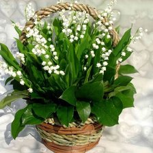 Схема вышивки «ландыши»