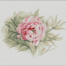 Схема вышивки «№437551»