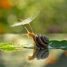 Схема вышивки «№437556»