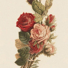 Схема вышивки «№437670»