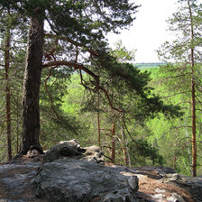 Схема вышивки «№437671»