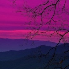 Схема вышивки «природа»