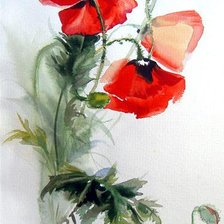 Схема вышивки «Маки акварель»