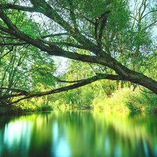 Схема вышивки «Пейзаж»