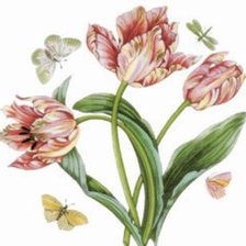 Схема вышивки «№437859»