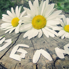 Схема вышивки «подушка люблю»