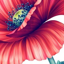 Схема вышивки «Мак и божья коровка»