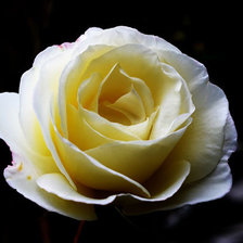 Схема вышивки «№437947»