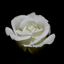 Схема вышивки «№437953»