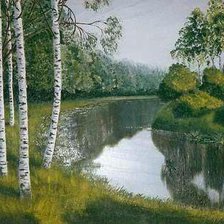 лесные дали