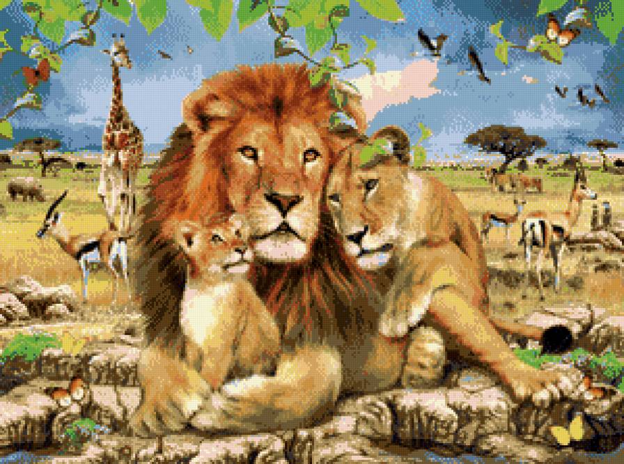 львы - предпросмотр