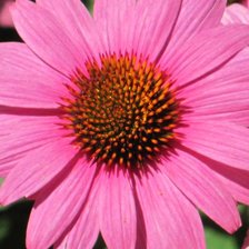 Схема вышивки «9»